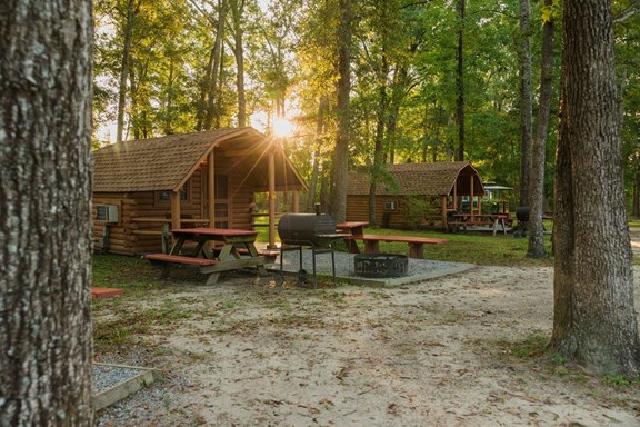 Primitive Cabins