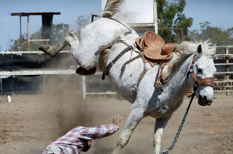 Mission Mountain Rodeo Photo