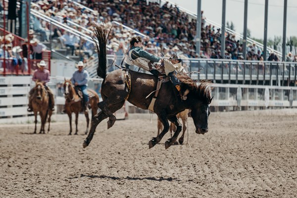 Mission Mountain Rodeo Photo