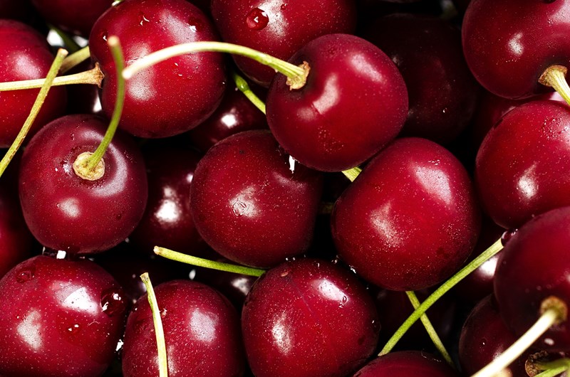 Flathead Cherry Festival Event at the Polson / Flathead Lake KOA