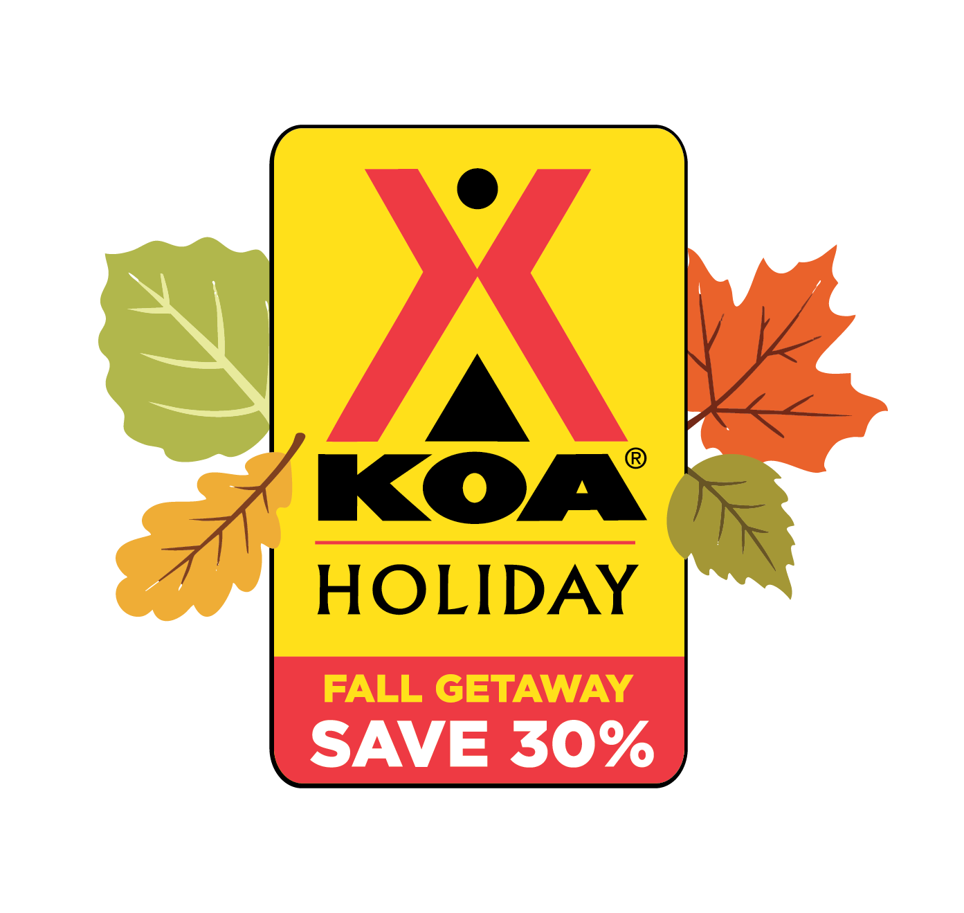 Hot Deal Image
