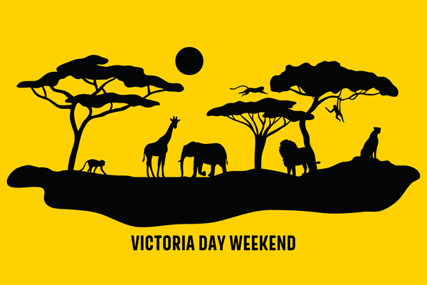 Safari Weekend (Victoria Day) Photo
