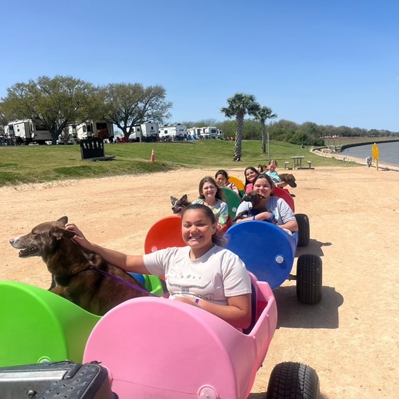 The Driftwood Express