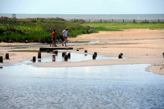 Matagorda Island Wildlife Management Area