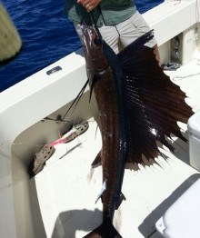 Texas Blue Water Fishing Guide and Charter Service
