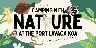 Nature Happens: What to Expect at a Rural Campground