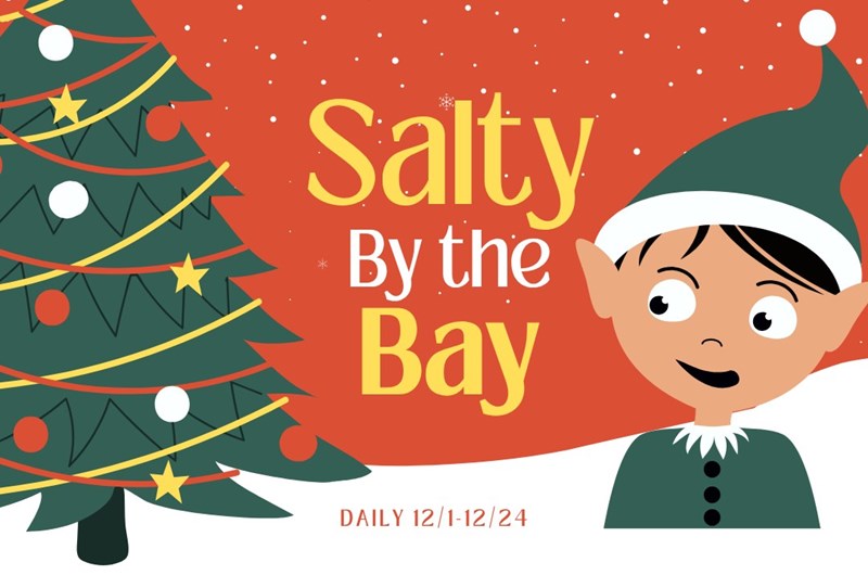 Salty By the Bay is BACK Photo