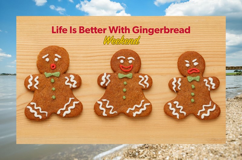 Life Is Better With Gingerbread Photo