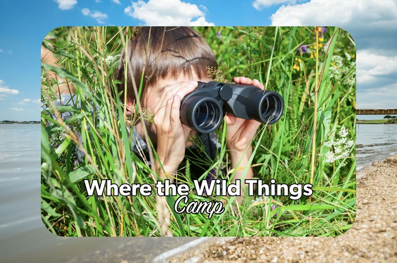 Where the Wild Things Camp Photo