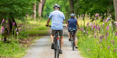 Une piste cyclable &#224; partir du camping