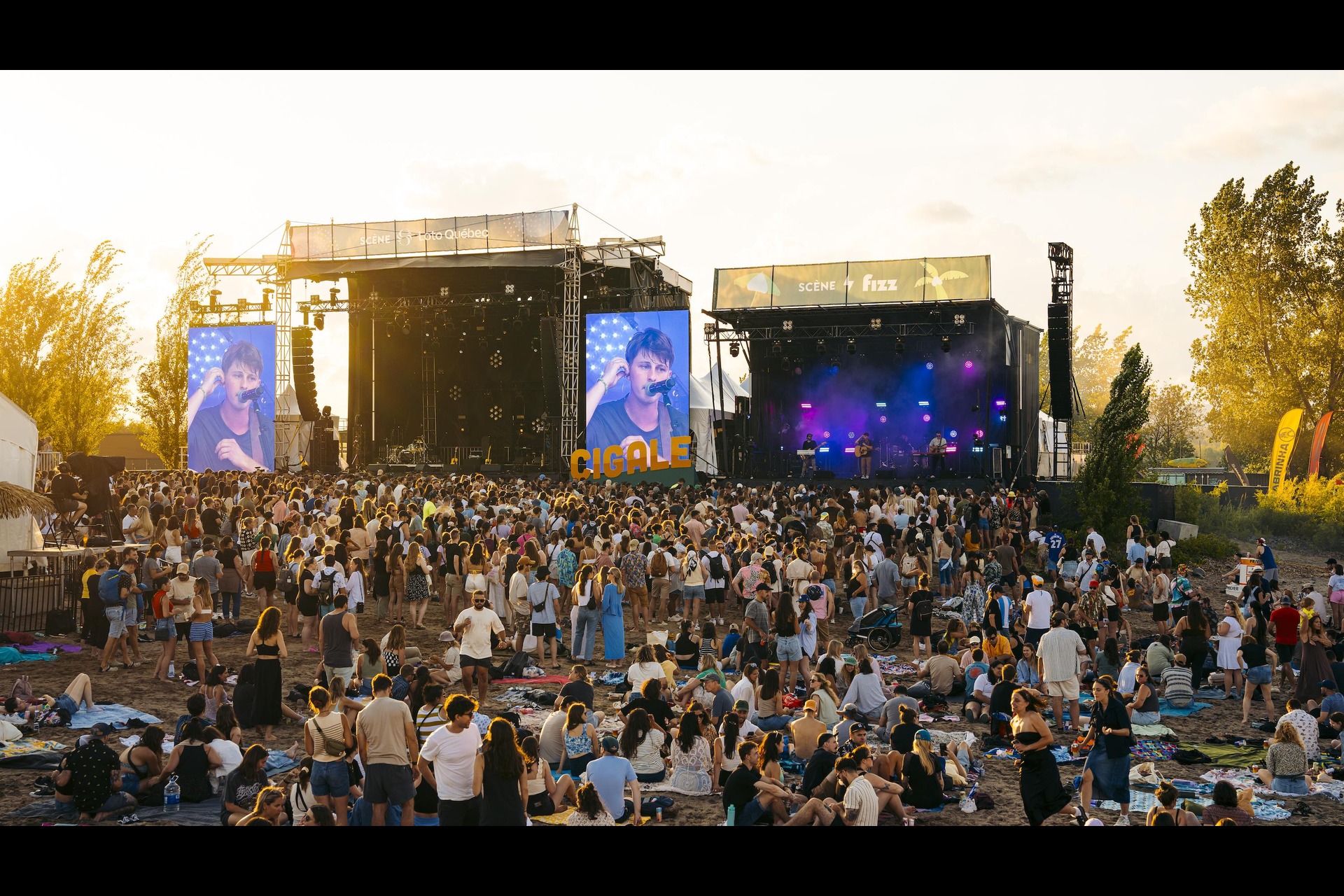 Cigale Québec Photo