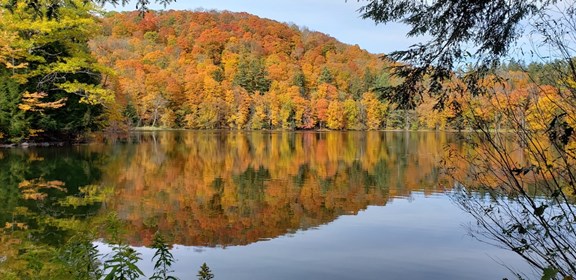 Vermont's Only National Park! The Marsh-Billings-Rockefeller National Historical Park