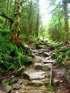The Appalachian Trail