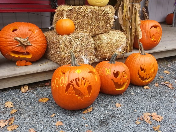 Plan a trip to Warrensburg, New York