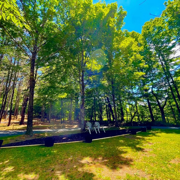 Plan a trip to Ferrisburgh, Vermont