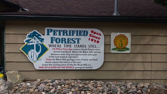 Petrified Forest of the Black Hills