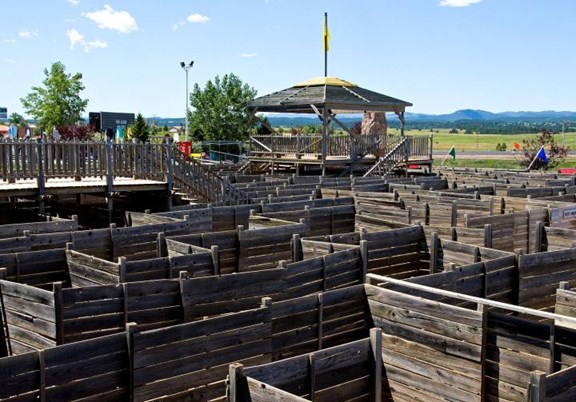Black Hills Maze