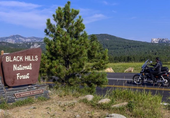 Black Hills National Forest