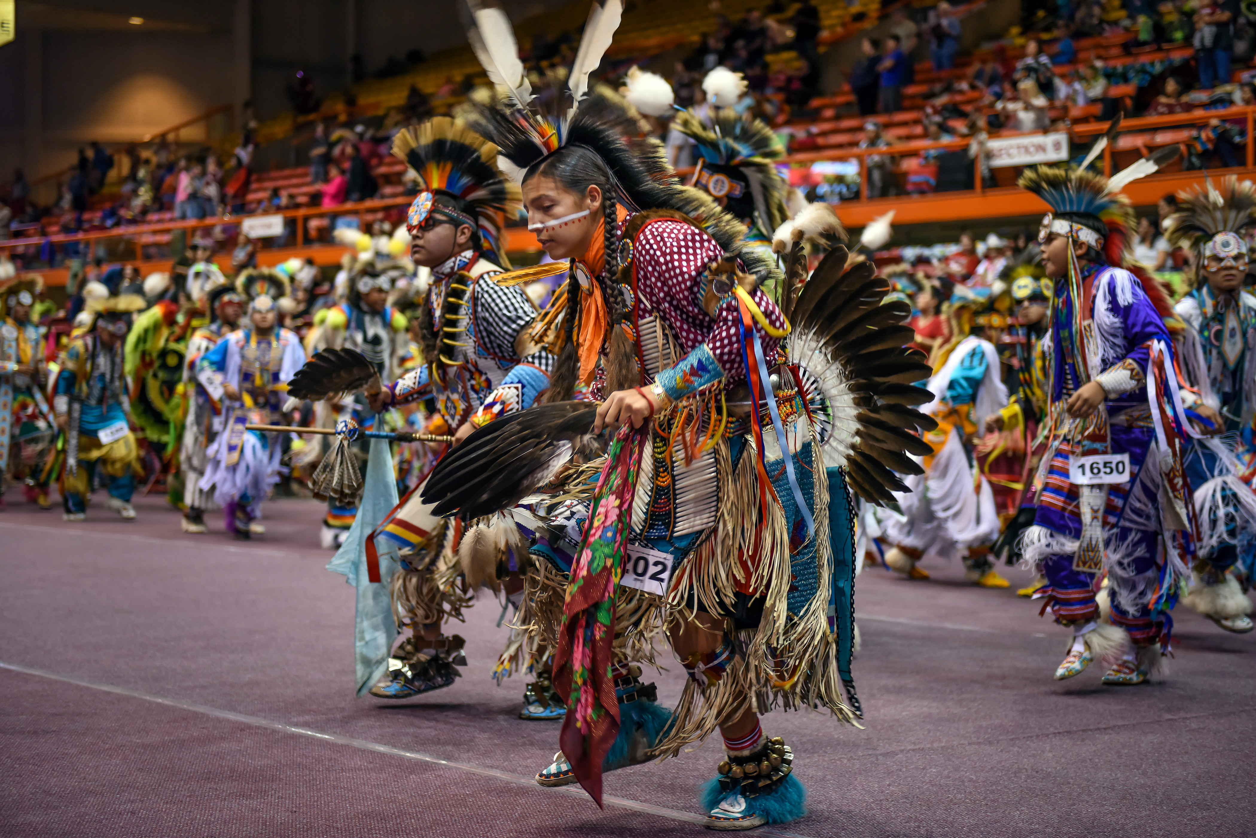 Black Hills Pow Wow Photo