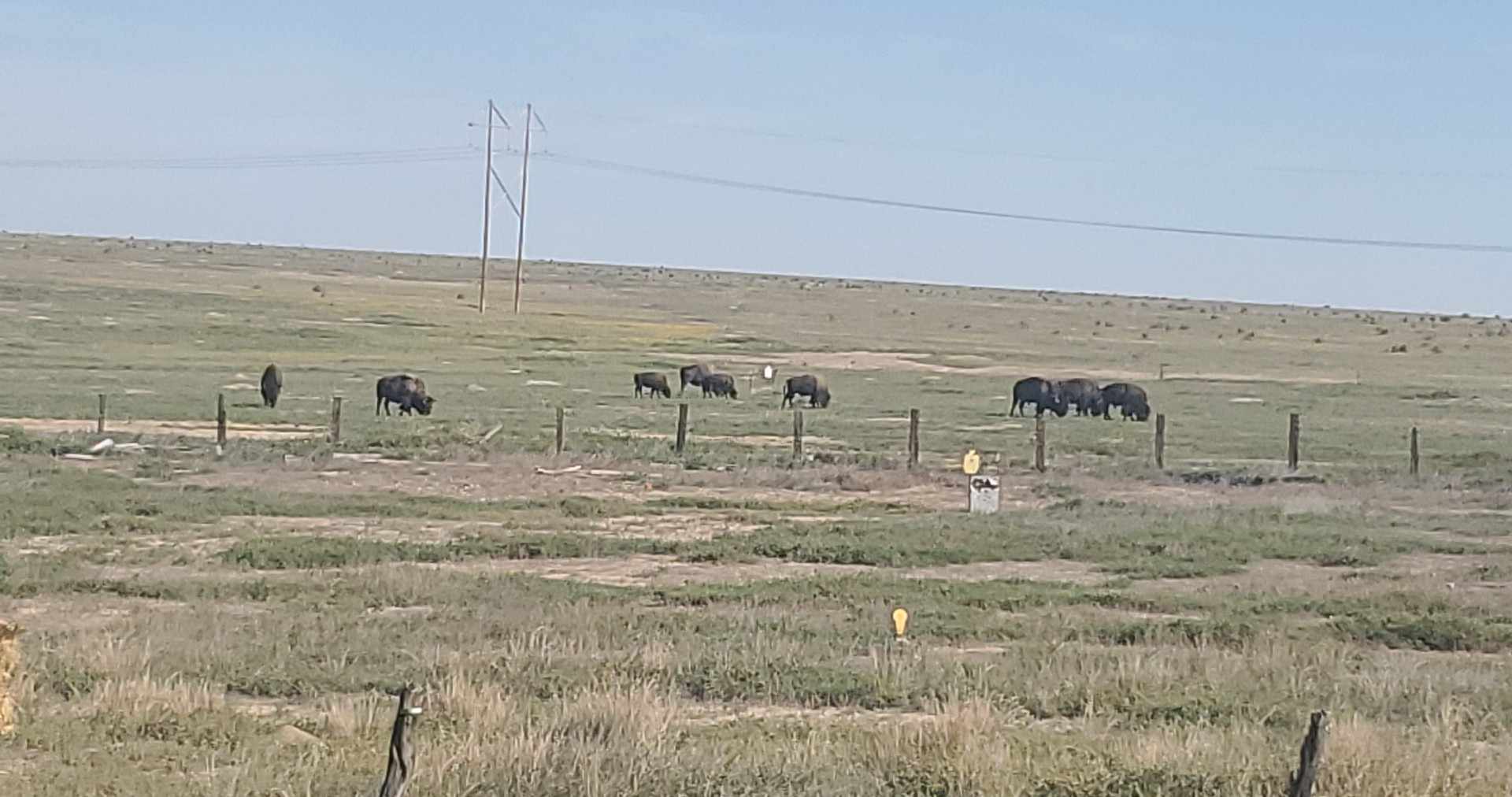 Raton, New Mexico Campground Raton KOA Journey