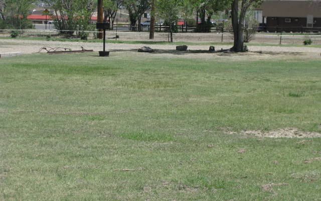 Grassy sites for individuals or groups
