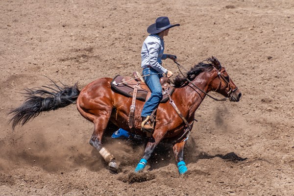 Annual Red Bluff Round-Up Photo
