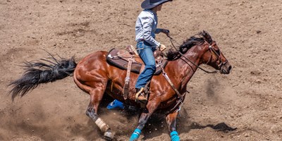 Annual Red Bluff Round-Up