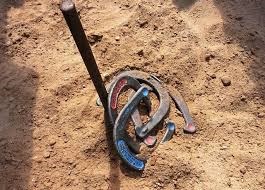 Horseshoes