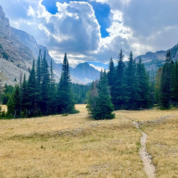Hiking