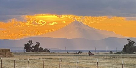 Redmond / Central Oregon KOA Holiday