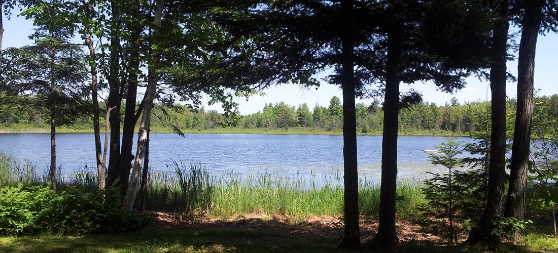 Grassy site backs on to lake.