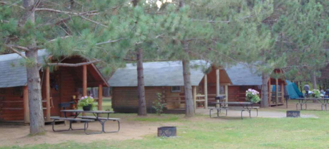 Camping Cabins in the Pines with a beautiful view of the Lake.  Sleeps 4. Electricity and mini-fridge is included