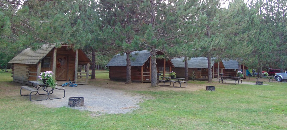 Camping Cabins in the Pines with a beautiful view of the Lake.  Sleeps 4. Electricity and mini-fridge is included