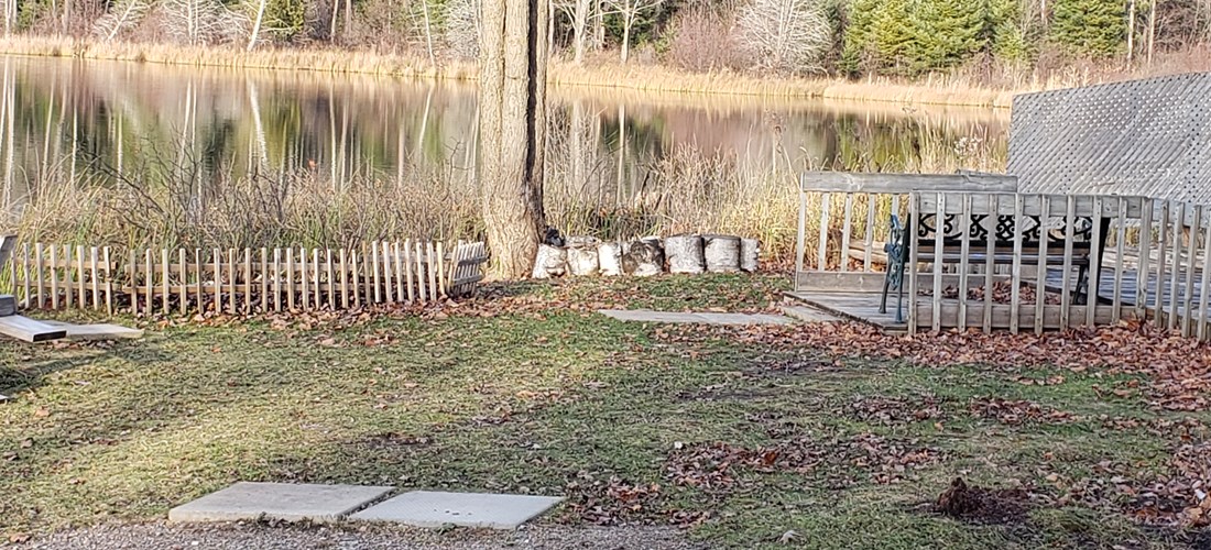 late fall at the glamping site private access to Yuill's Lake