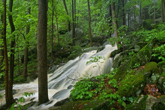 Anglin Falls