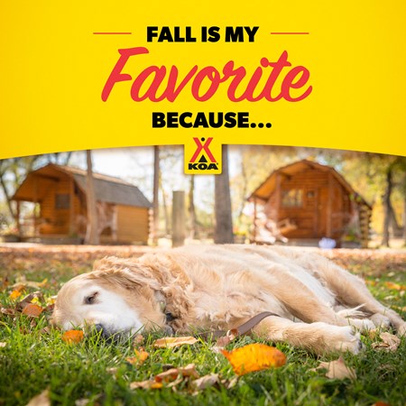 Renfro Valley KOA Holiday