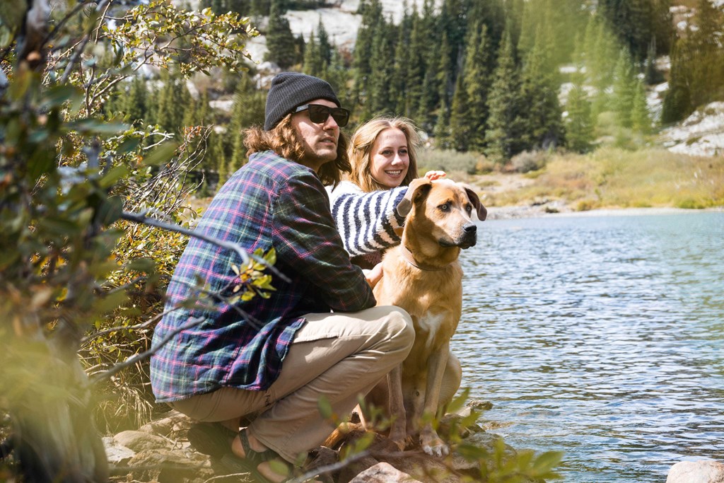 Your Guide to a Dog-Friendly Vacation in Richfield, Utah