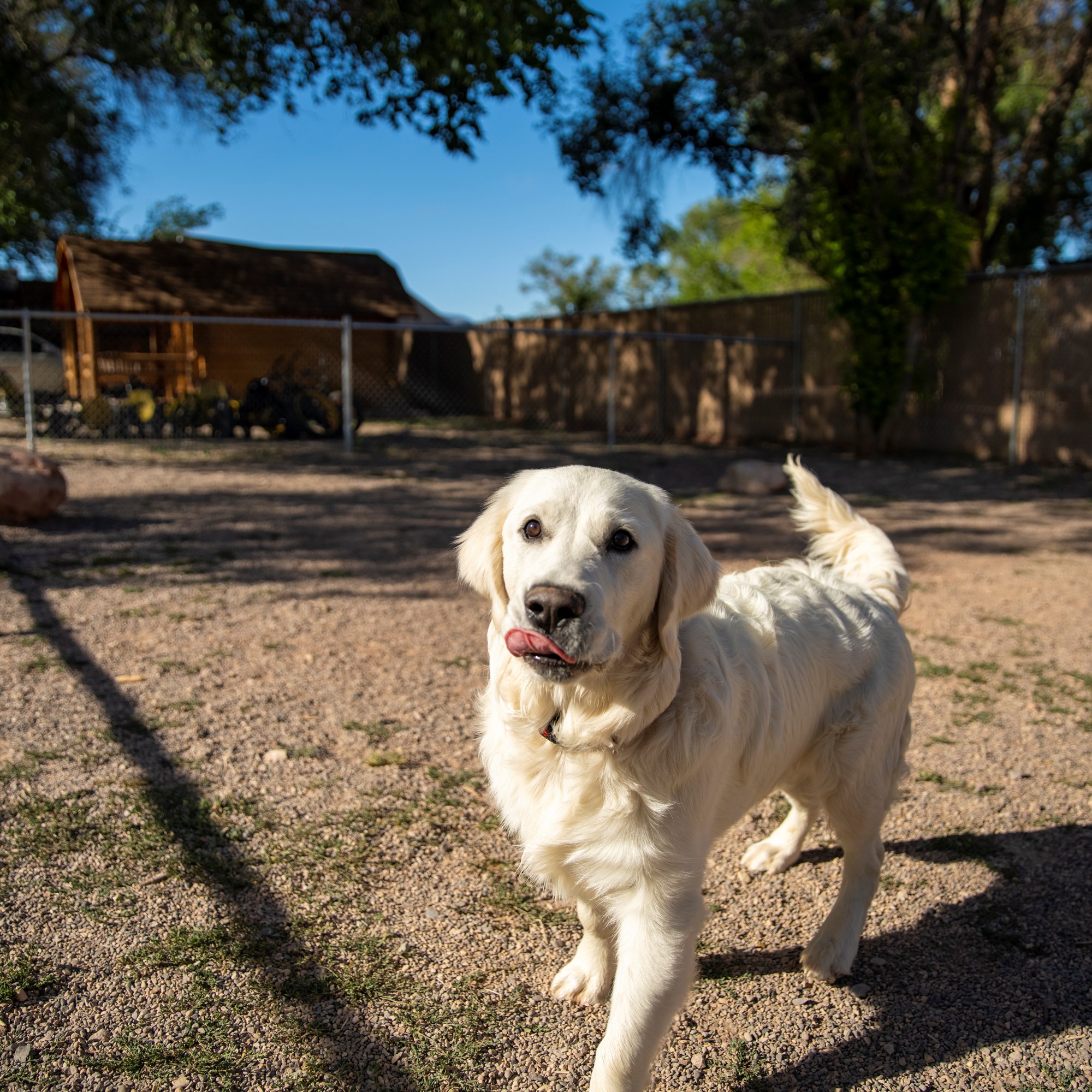 General Information Richfield KOA Holiday