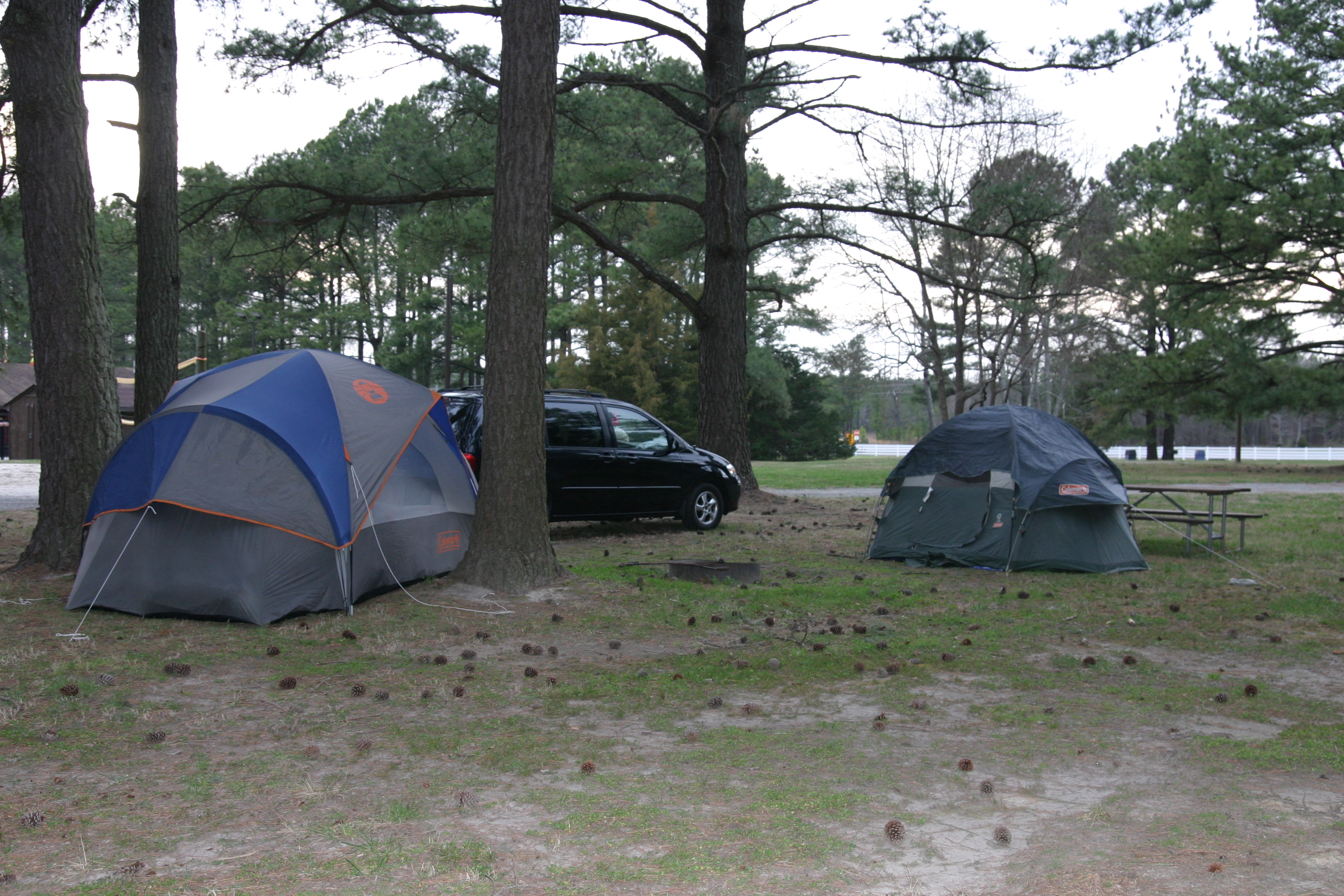 PRIMITIVE TENT SITE