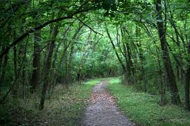 Walking Trail