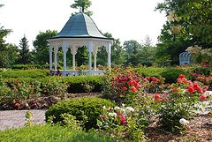 World Class Rose Gardens