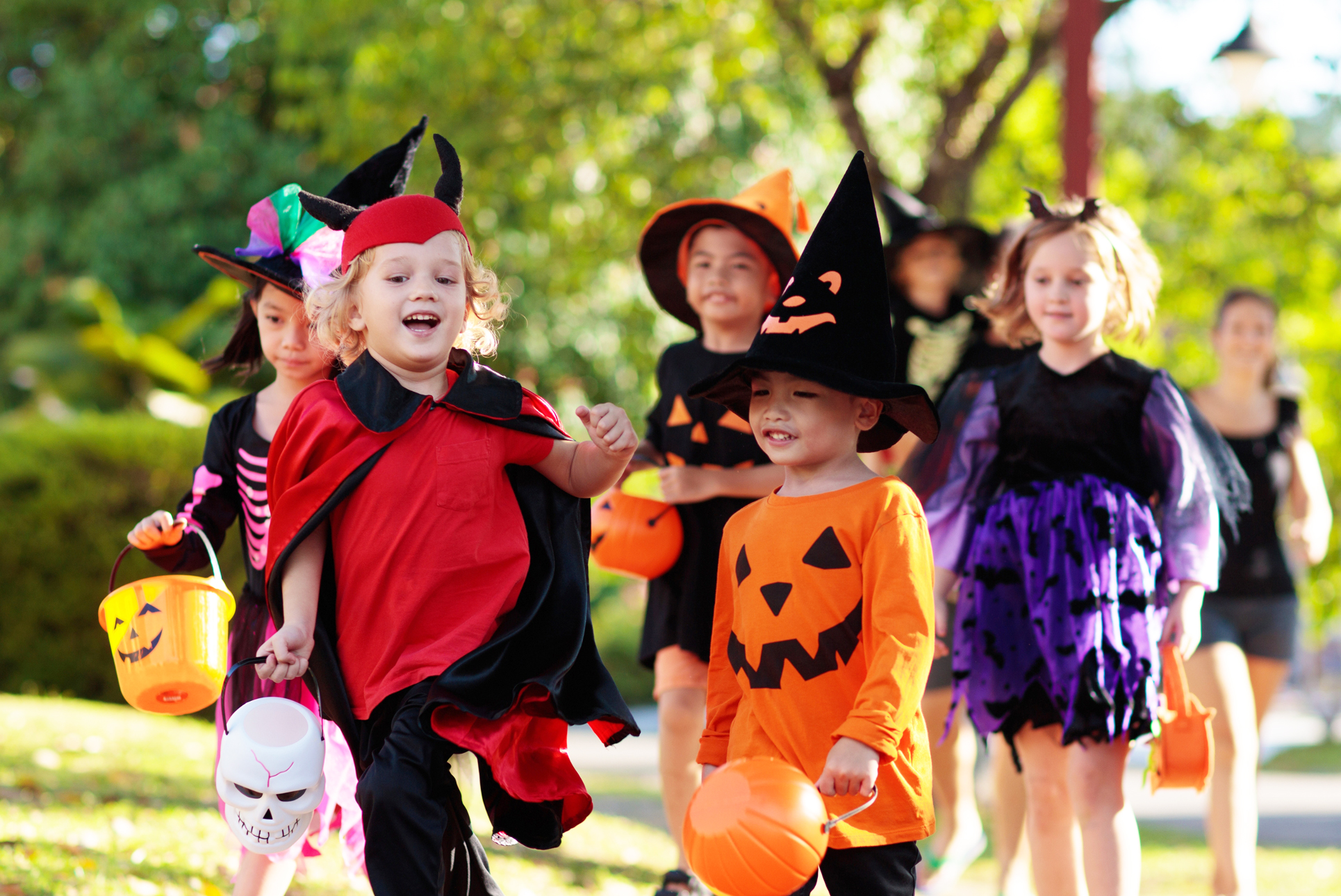 Halloween #5 Photo