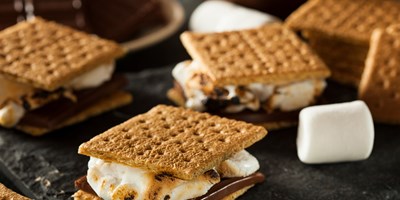 Annual S'mores Celebration
