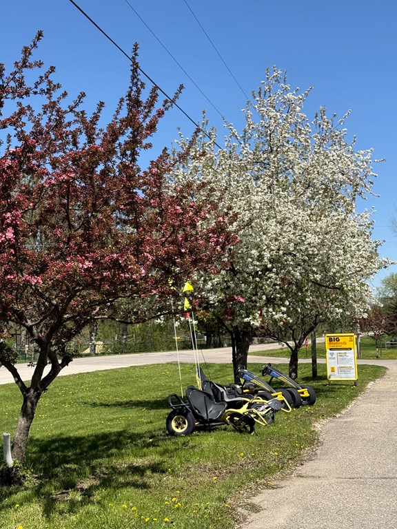 3 Wheel Peddle Bikes