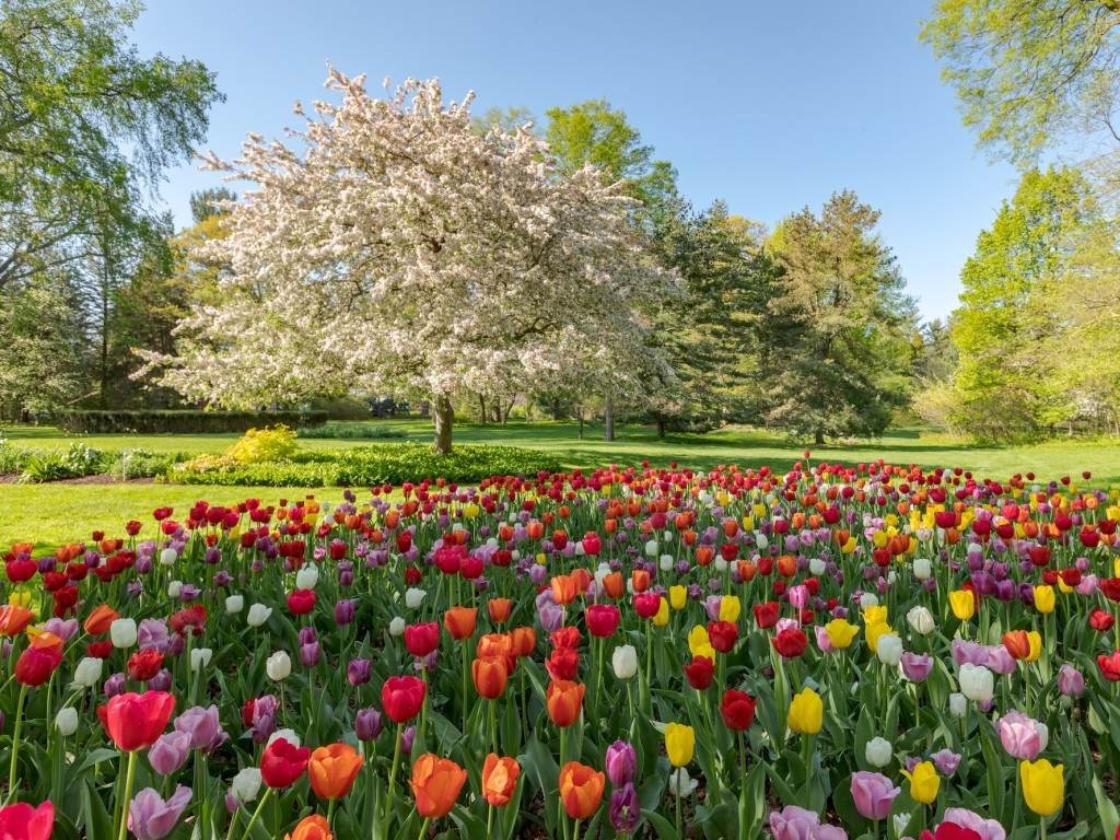 Make It a Spring Getaway at Rochester/Marion KOA Journey