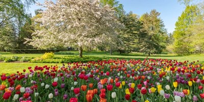 Make It a Spring Getaway at Rochester/Marion KOA Journey