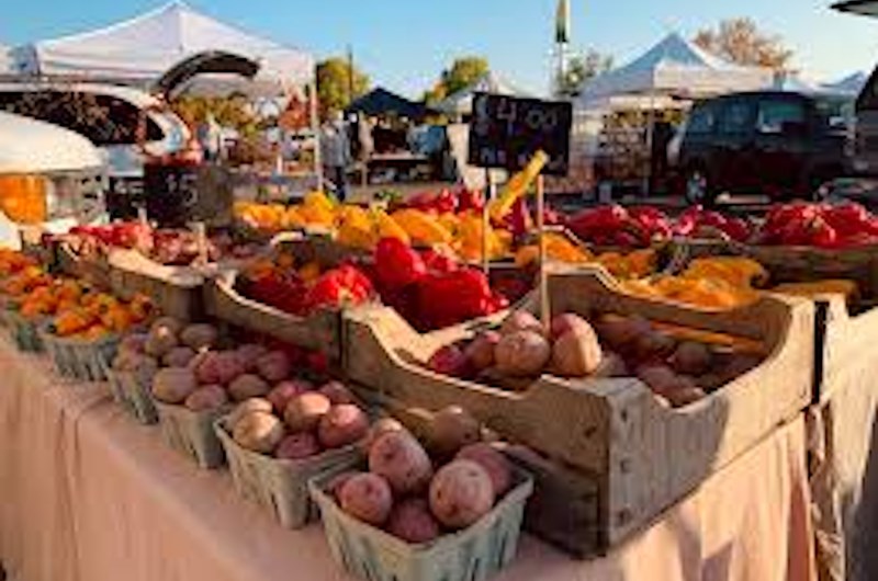 Farmer's Market Photo