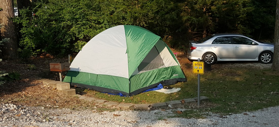 Tent site T35