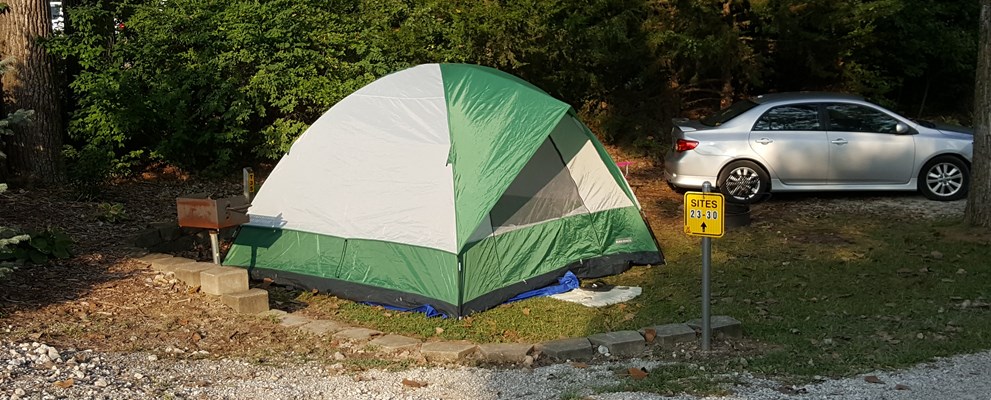 Tent site T35