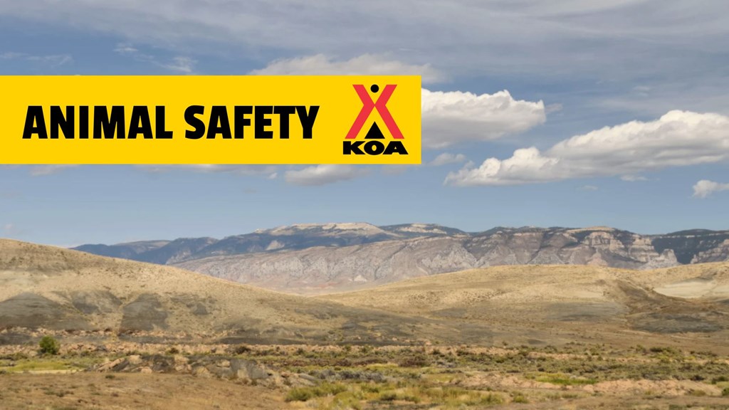 Wildlife Safety at Rock Springs/Green River KOA Journey